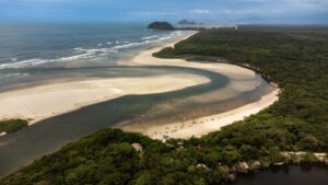 Conheça a Praia de Itaguaré: refúgio de biodiversidade e águas preservadas a poucos passos da infraestrutura da Riviera.